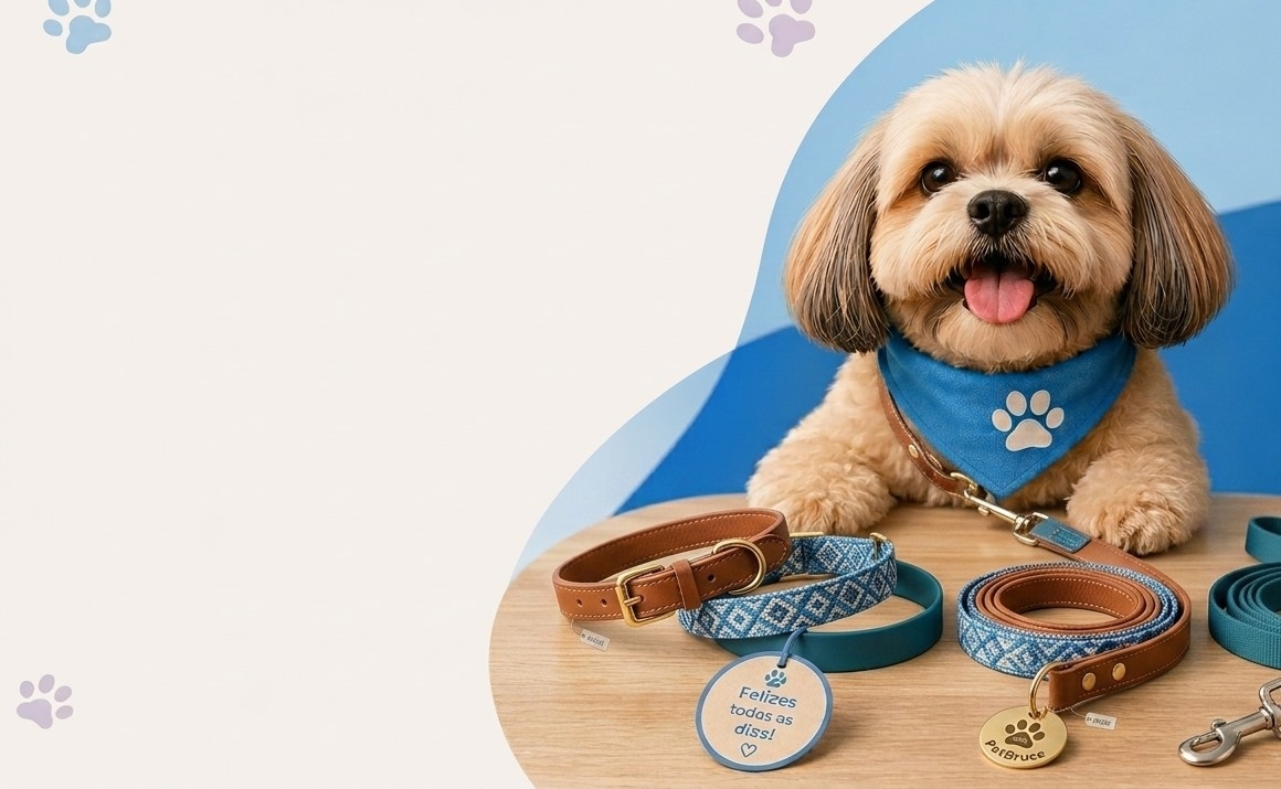 Cachorro com coleiras, peitorais e guias do Pet Bruce