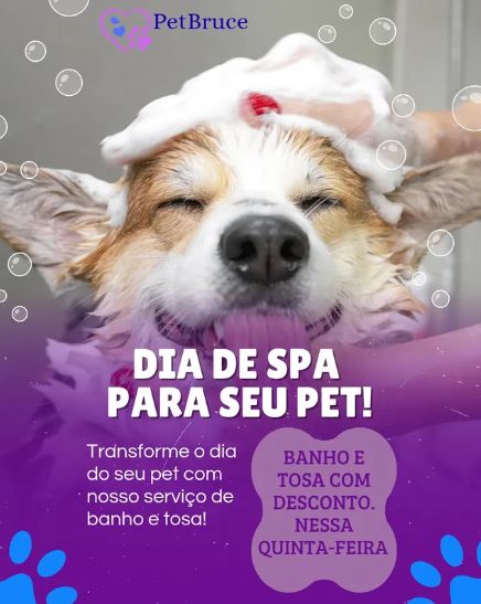 Spa Completo